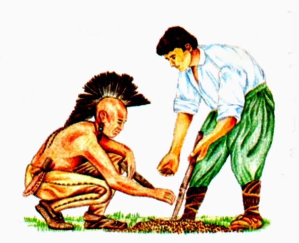 Pescado como fertilizante