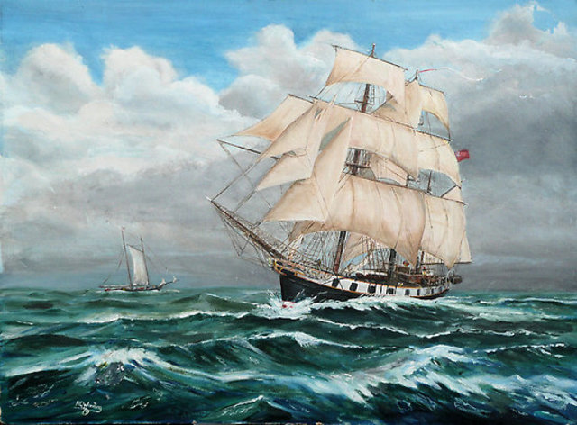 The Voyage of the HMS Beagle