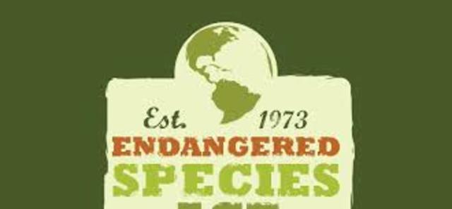 Endangered Species Act