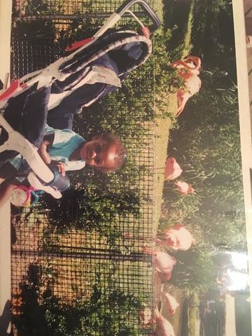 el siete de junio dos mil un