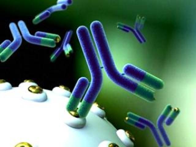 Se desarrollan nuevos anticuerpos