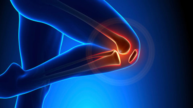 Reparación de cartílago articular dañado y prevención de artrosis con células del tejido amniótico