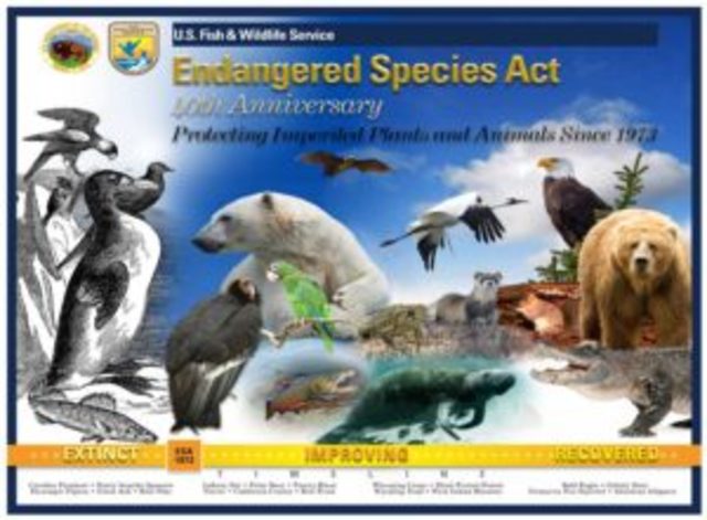The Endangered Species Act