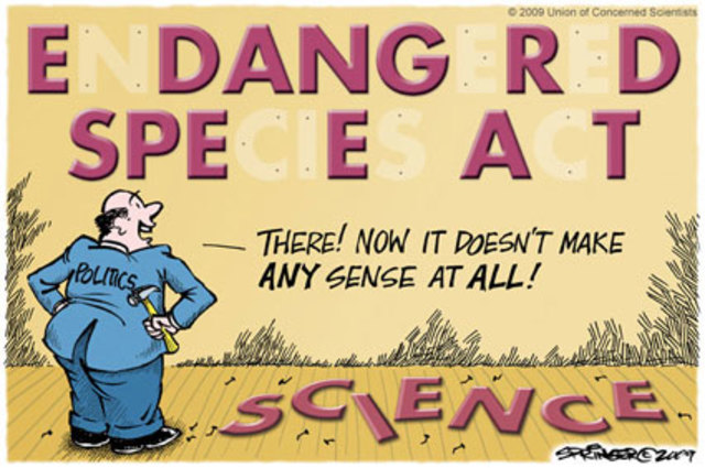 Endangered Species Act