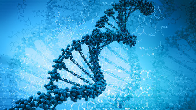 Discovery of the Double Helix