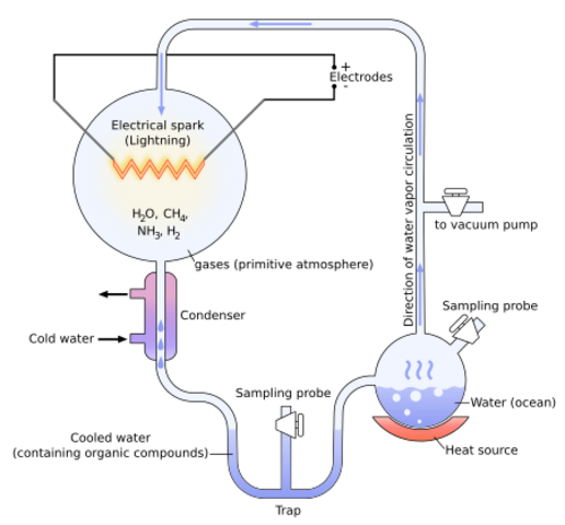 Miller-Urey Experiments