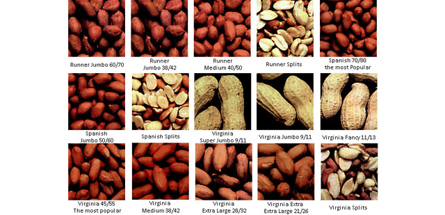 Number of Peanut Products Developed