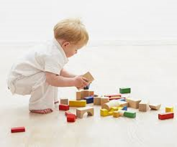 Follows simple directions like "pick up the toys"