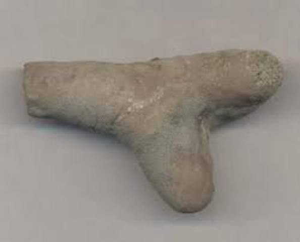 Ordovivian bryozoans extinct.