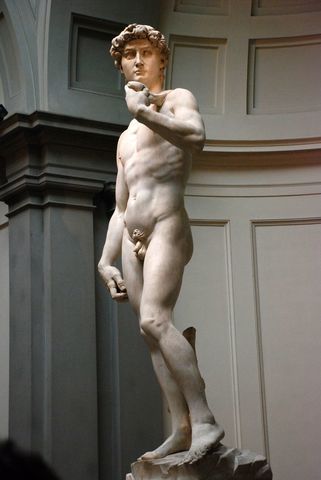 Michelangelo starts The David