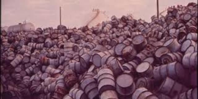 1970s: Organization of the Petroleum Exporting Countries (OPEC)