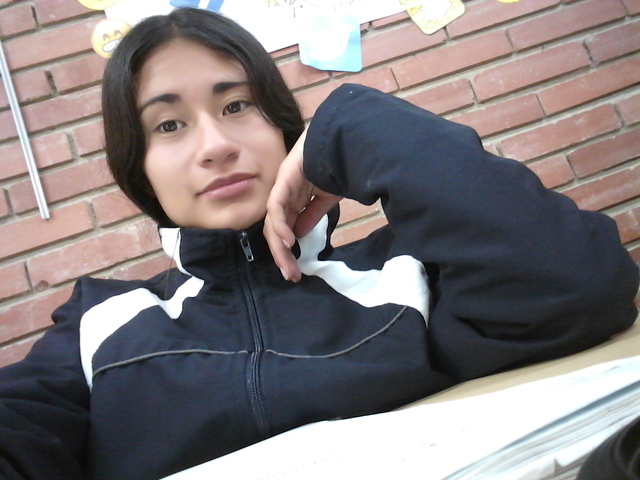 programa de formación complementaria  primer semestre