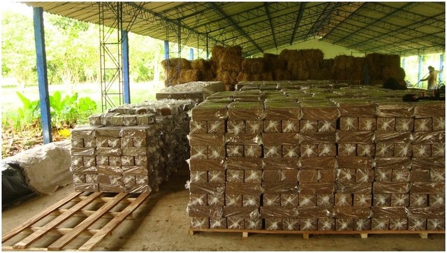 4. Bloques multi-nutricionales