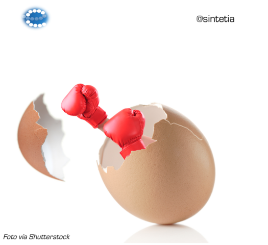 JOSÉ CHANES NIETO y RICARDO UVALLE BERRONES