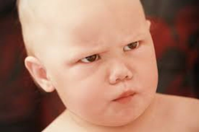 •Understands “no”