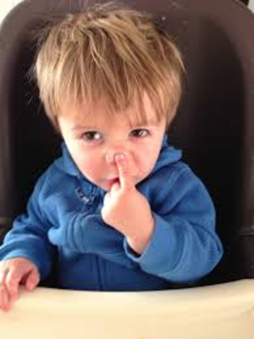 Knows names of familiar people and body parts