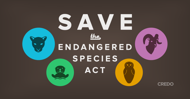 Endangered Species Act
