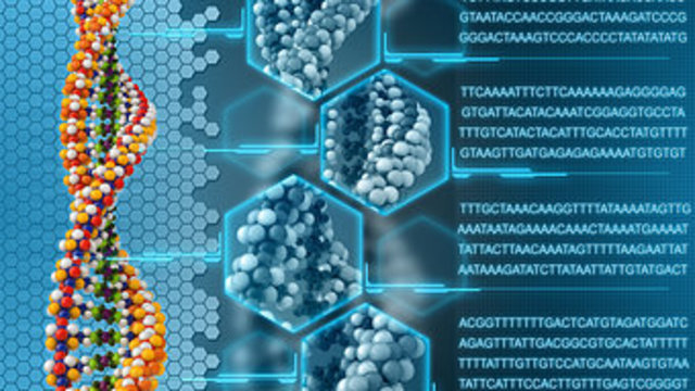 The Human Genome                  https://www.genome.gov/11006943/human-genome-project-completion-frequently-asked-questions/