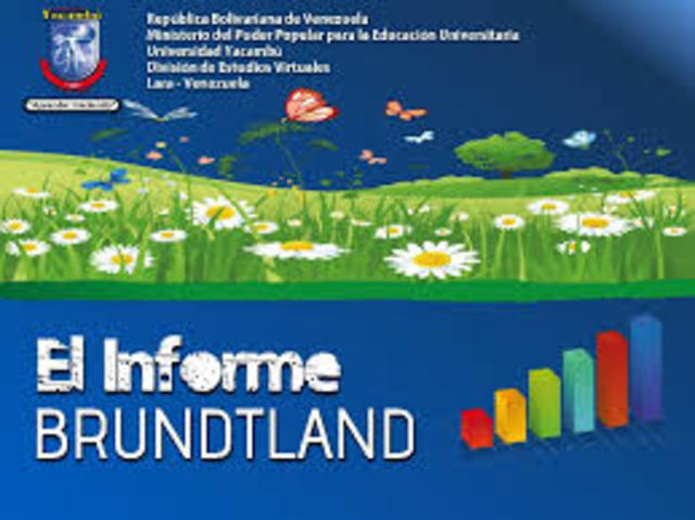 Informe de Brundtland