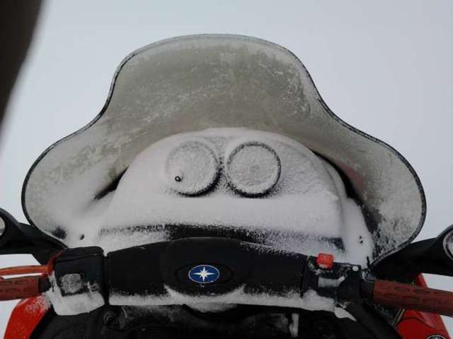 I Noticed a Bump on My Back