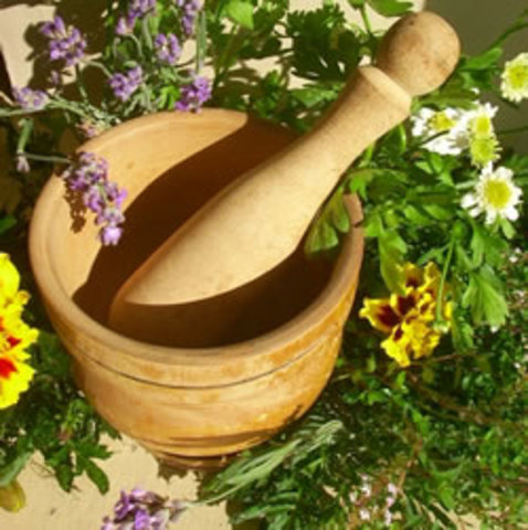 I Was Introduced to OPCs