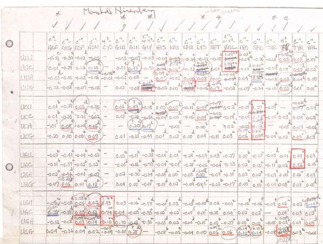Genetics Code Cracked
