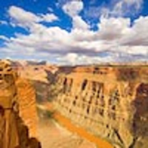 Moved from Arizona, into