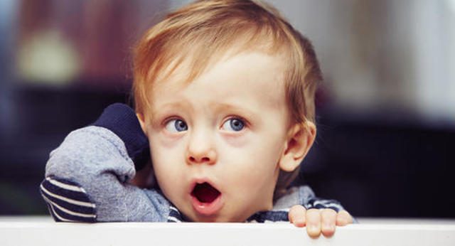 Language/ Communication