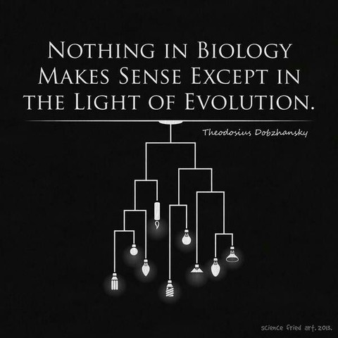 Nothing in Science Makes Sense Except in the Light of Evolution.                 https://www.pbs.org/wgbh/evolution/library/10/2/text_pop/l_102_01.html