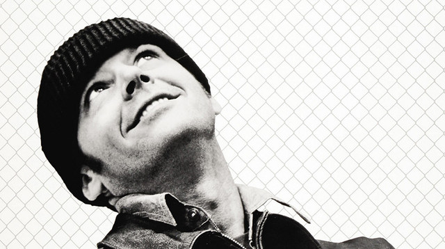 Hollywood Shines a Light