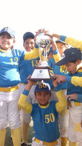 The king of sports: Baseball