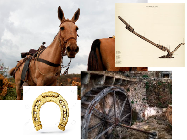 CABALLOS Y MULAS, PERFECCIÓN DEL ARADO, MOLINO HIDRÁULICO, HERRADURAS.