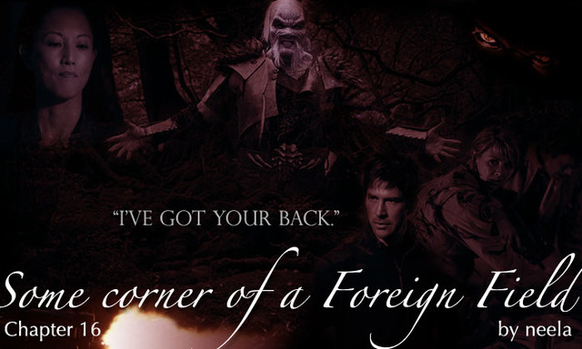 DAY 237: "I've got your back."