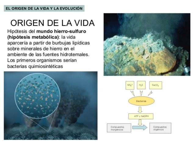 Mundo de hierro-sulfuro