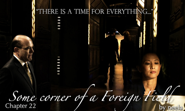 DAY 291-301: "There is a time for everything..."