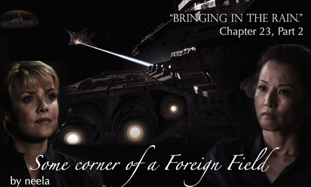 DAY 308, part 1: "Bringing in the rain."