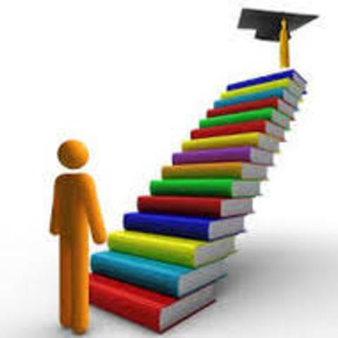 Subfields in Psychology