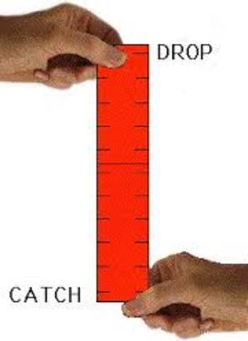 Intelligence Testing