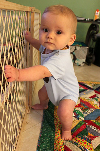 Pulls up to stand, walks holding on to furniture (“cruising”)