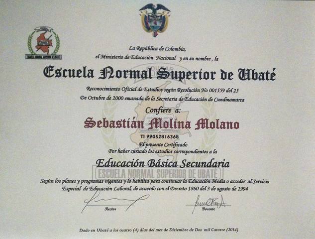 mi grado de educación básica segundaria