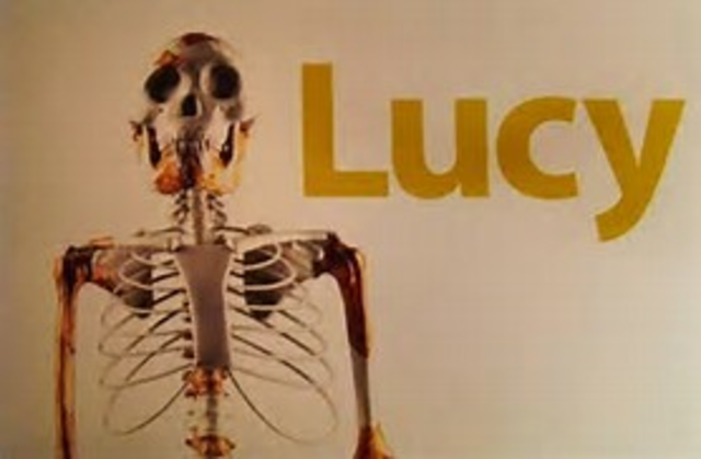 Australopithicus Afarensis nicknamed "Lucy" discovered