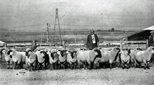 While in Tuskegee In.