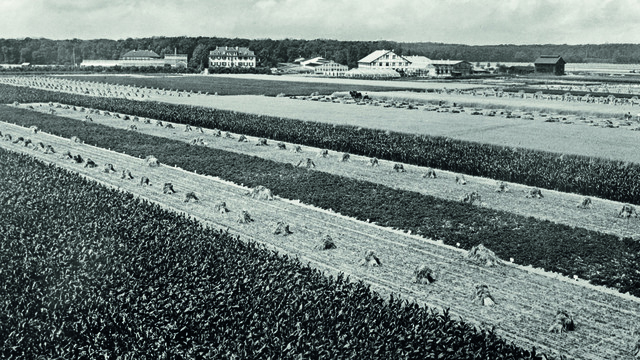 Invitation to lead the agriculture department