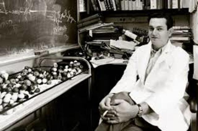 Nirenberg cracks the genetic code