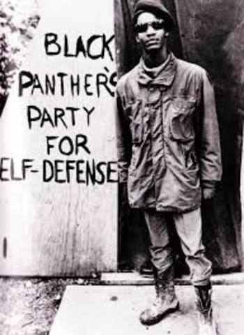 black panthers are founded