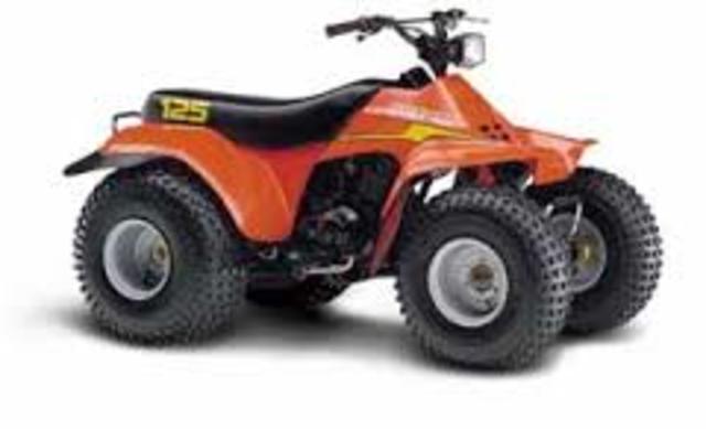 The first 4 wheeler