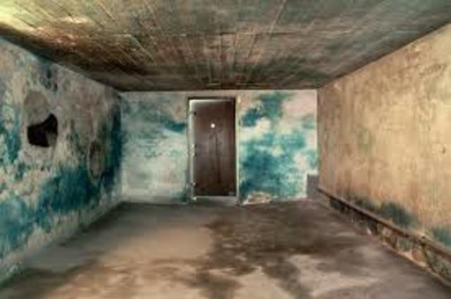 Last use of gas chambers at Auschwitz