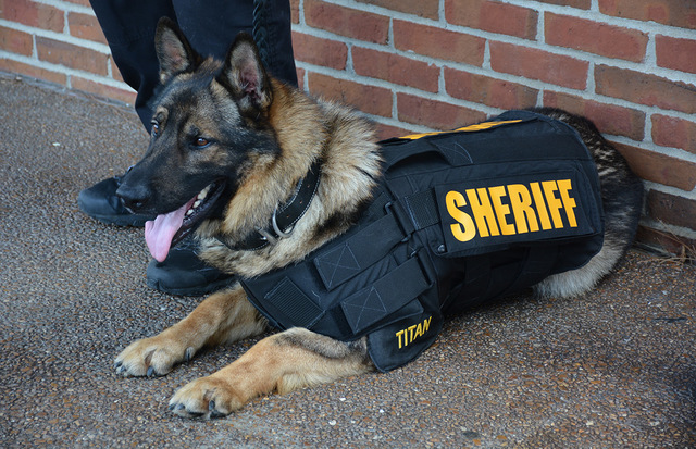 Become part of the K-9 unit