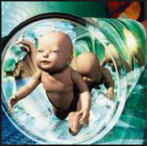 Primer bebé probeta español