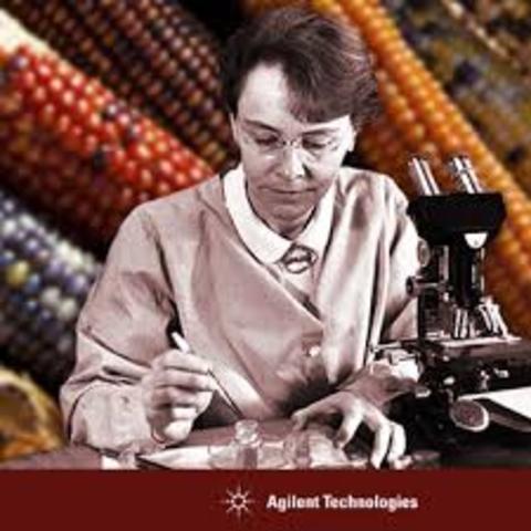 Barbara McClintock describes transposons